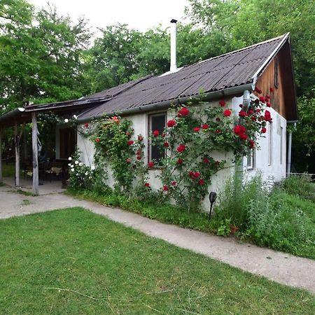 Villa Igricz Farmház Pócsmegyer Exterior foto